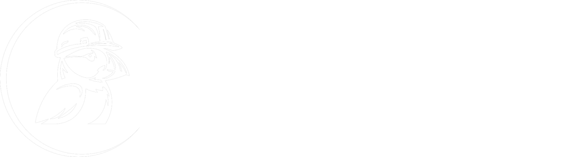 Puffin Power